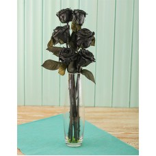 Black Roses - 6 Stems Vase